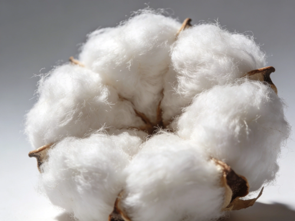 cotton