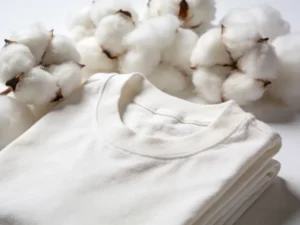 Raw natural cotton bolls next to a soft 100% cotton t-shirt.