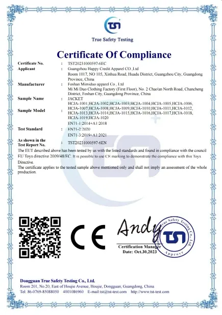 CE Certificate 11