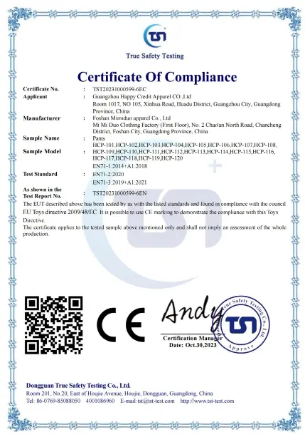 CE Certificate 8