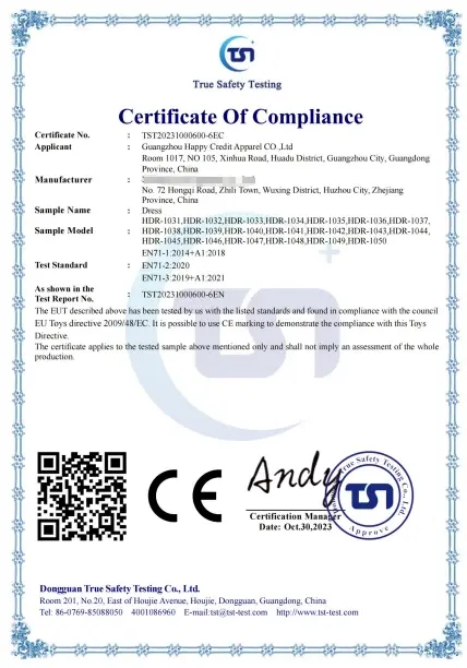 CE Certificate 9