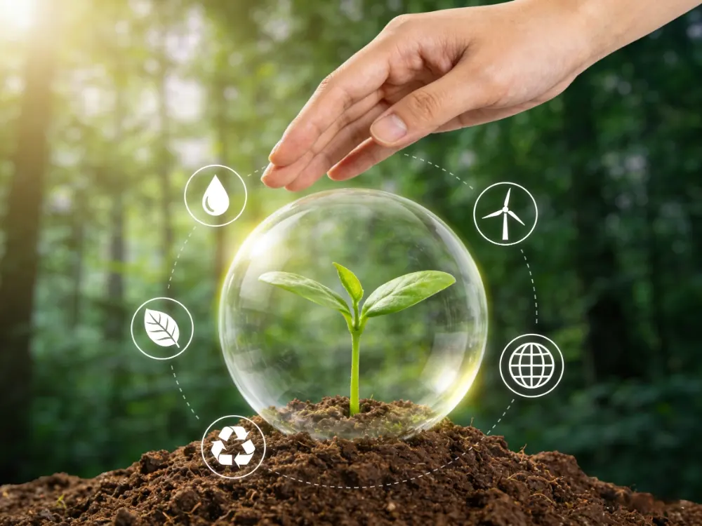 Reduce Our Environmental Impact